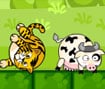 Tiger Eat Cow