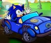 Sonic Car Champ