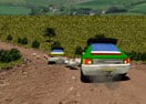 International Rally Stage 2014