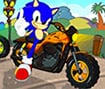 Sonic Friendly Race