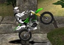Temple Bike