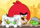 Angry Birds Bang Bang Bang