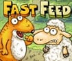 Fast Feed