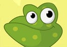 Play Clever Frog