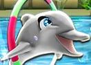 My Dolphin Show 7