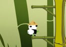 Panda Jump