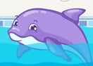 Dolphin Slacking