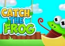 Catch The Frog