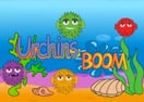 Urchins Boom
