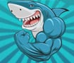 Mad Shark