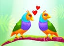 Love Birds