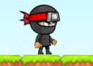 Play Ninja Boy