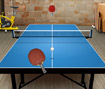 Table Tennis Challenge