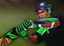 Cricket Batter Challenge