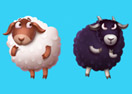 Sheeps Adventure
