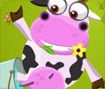 Crazy Cow