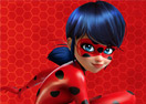 Miraculous Ladybug Puzzle