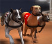 Greyhound Racing