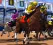 Horse Racing