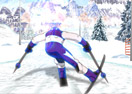 Ski Slalom 3D