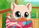 My Pocket Pets: Kitty Cat