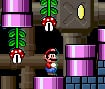 Super Mario World 3