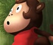 Jungle Monkey