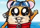 Stunt Hamster