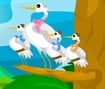 Birds of a Feather