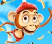 Crazy Monkey Spin