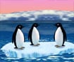 Turbocharged Penguins