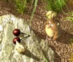 Ping Ping Hamster