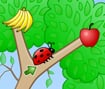 Fruity Bugs