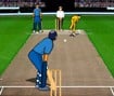 Cricket Championship 2008
