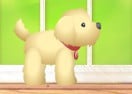 Pet Pick-Up