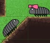 Pillbug Run