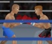 Side Ring Knockout