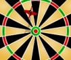 Bullseye Darts