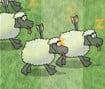 Sheep Reaction