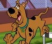 Scooby-Doo Hurdle Race