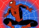 The Spiderator