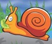 Hungry Snail