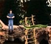 Anacondas