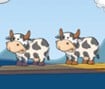 Freaky Cows