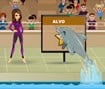 My Dolphin Show