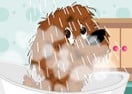 Puppy Perfect Makeover