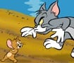 Tom e Jerry In Cat Crossing