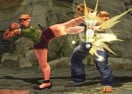 The Perfect Fighter