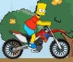 Simpson Bike