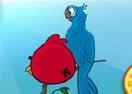 Angry Birds Rio Online